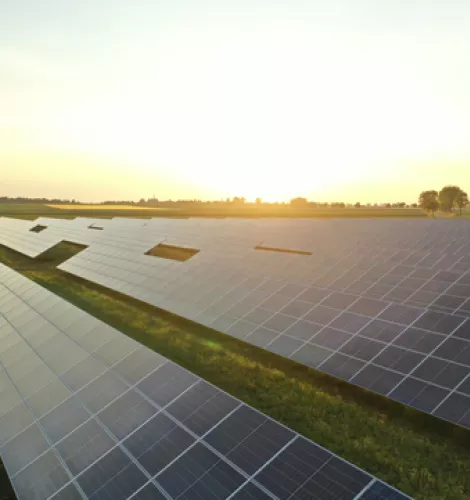 Painéis solares em dia amanhecendo