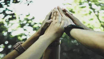 Mãos unidas no alto, com fundo entre folhas de árvore, em união pelo futuro